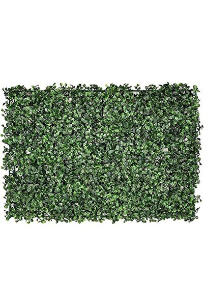 Generic 40X60Cm Synthetic Grass Wall Panels Enhance Your Space With Lush Indo...