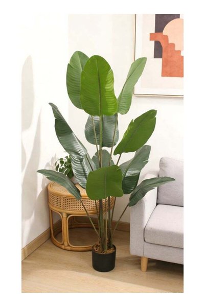 Generic Banana 125cm (4.10ft) Artificial Tree with Pot | Floor Plant with Lif...