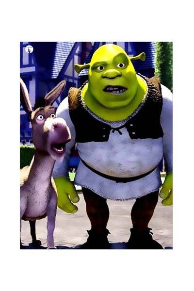 Generic Shrek Themed Metallic Plate Green/White/Brown 20x15cm