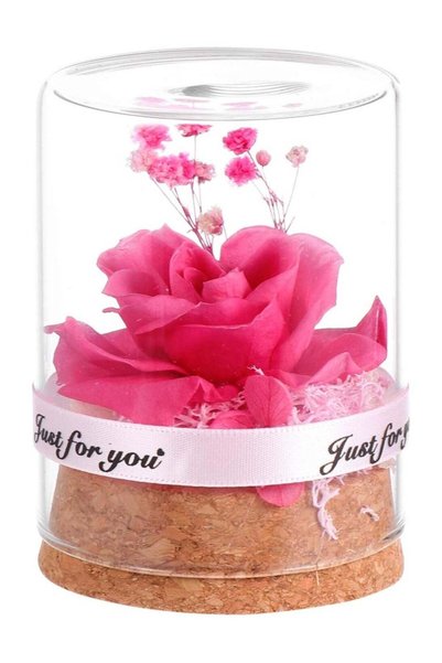 Generic Eternal Galaxy Flower - Handmade Preserved Rose in Glass Dome, Foreve...