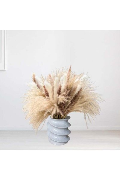 Generic Natural Dried Pampas Grass Bouquet 60Pcs: Brown Gray White Reed Pampa...