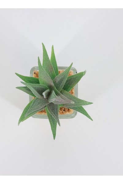 Generic Artificial Plant With Pot, Assorted White And Green