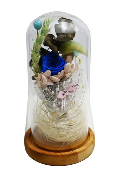 Generic Eternal Rose Dome LED Light Preserved Roses Battery Operated Décor - ...