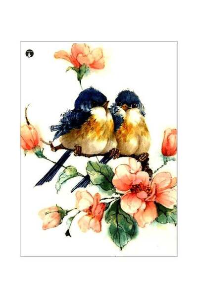 Generic Bird Themed Metallic Plate White/Blue/Pink 20x15cm