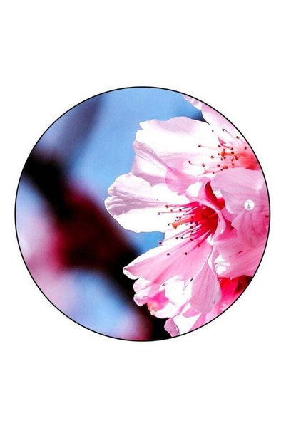 Generic Flower Printed Fridge Magnet Pink/Blue/Red 5.5cm