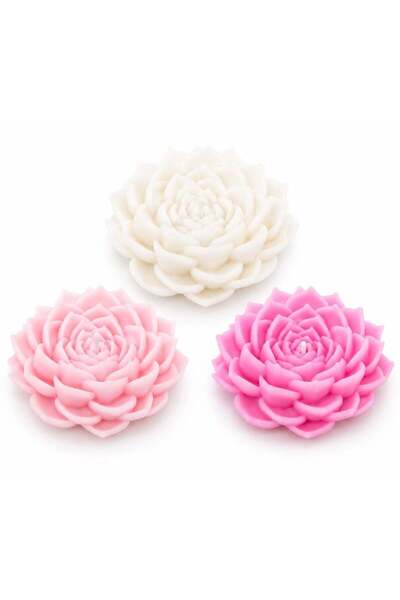 Generic Succulent Scented Soy Wax Floral Blend Candles – Set of 3 – Handmade ...