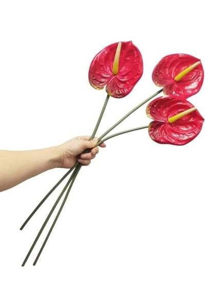 Generic 3PCS 27" Artificial Anthurium Lily Flowers, Red, Red Artificial Flowe...