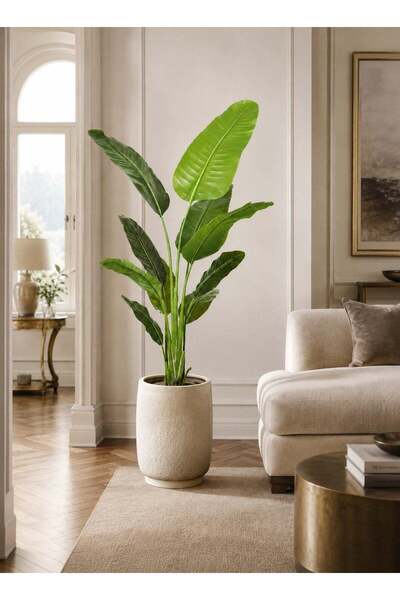 Generic Artificial Banana Tree, Featuring Large Simulated Tropical Leaves Wit...