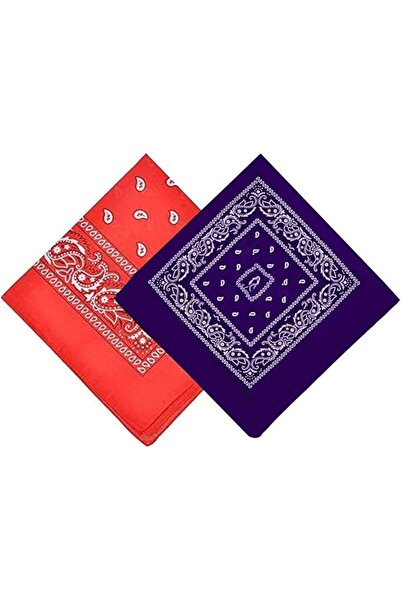 Funinside FUNI 2 Pack Paisley Bandanas,Cotton Bandanas for Men Women, Novelty...
