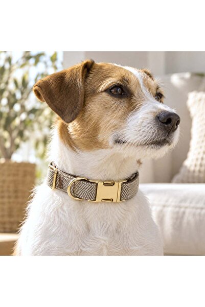 OEM ZGARDA PREMIUM PET-DETALII AURII