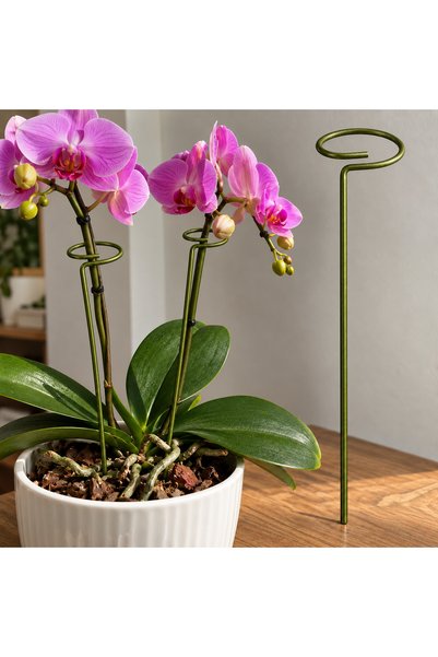 shop Spiral Bitki Destek Çubuğu| 10 Adet 55 cm * Metalik Yağ Yeşili | Orkide , Nergis gibi İç Mekan Çiçek Gövde Destek Aparatı | 3,5 MM Galvanizli