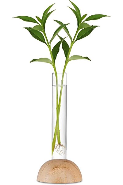 Yelajoy 2 Pcs Tube Vase, Clear Narrow Neck Test Tube Vase, Desktop Glass Plan...
