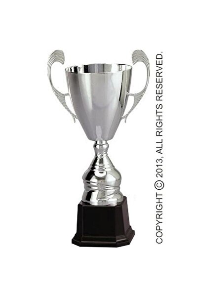 TRYUMF CUP 4105C