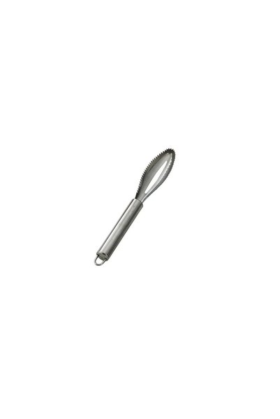OEM Perie de Curatare Solzi Peste, din Otel Inoxidabil, 24 x 3 cm, Gri, Curăț...
