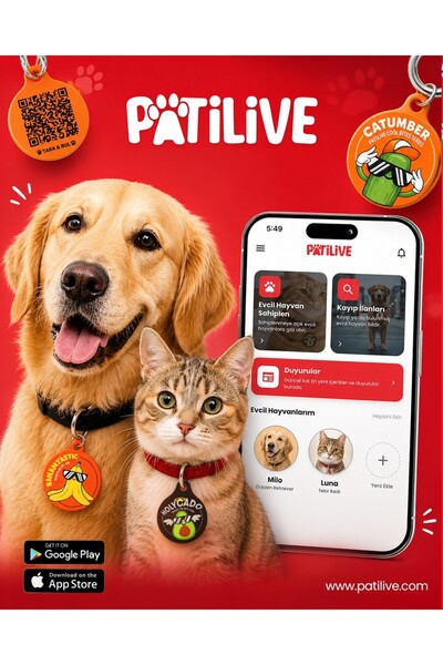 QR Kodlu Evcil Hayvan Künyesi Catumber Kedi Köpek İsimliği