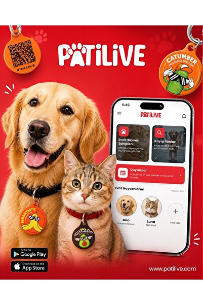 QR Kodlu Evcil Hayvan Künyesi Holycado Kedi Köpek İsimliği