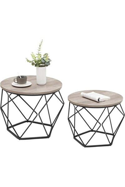 VASAGLE Set de 2 măsuțe de cafea, Gri-negru, PAL și oțel, Ø50/40 cm, Stil ind...