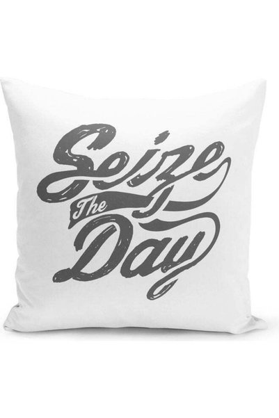 Generic Seize The Day Quote Decorative Pillow Multicolour