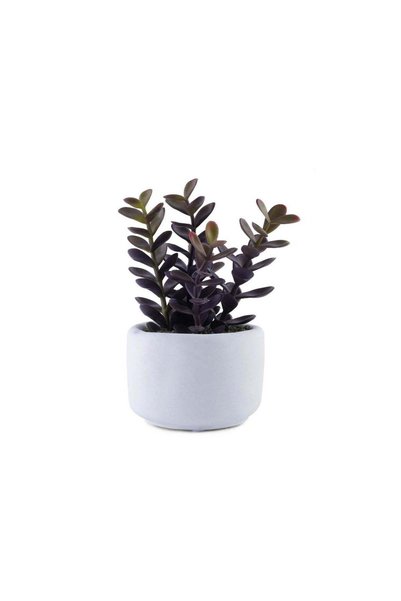 Generic Artificial Succulent In Cement Pot 18.42x19.05x19.69cm - Green - 221G...