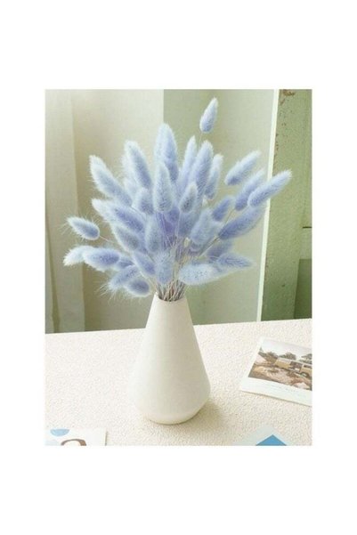 Generic 100 Pcs Blue Dried Pampas Grass Decor, 17-inch Bunny Tails Dry Flower...