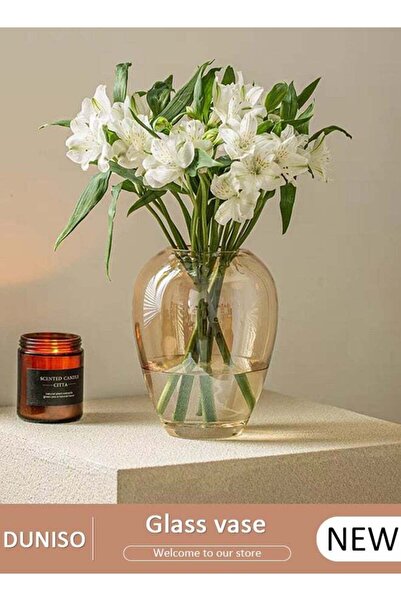 Generic Creative Clear Glass Vase Craft Aesthetic Decorative Small Flower Vas...