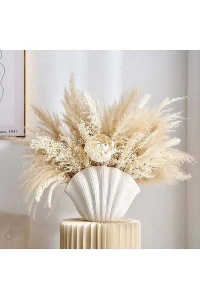 Generic Modern Minimalist Creative Vase, Shell Shape White Vase Desktop Decor...