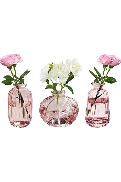 Generic Vases Set of 3 Small Glass Flower Vases, Pink, Mini Vases Glass Bottl...