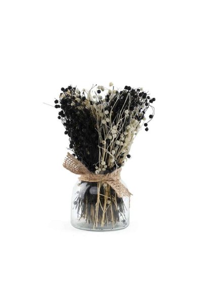 Generic Tessi Dried Bouquet in Glass Jar H25cm - Black - 221STV9900010