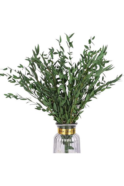Generic Real Eucalyptus Stems Greenery Decor 20PCS 16" Dried Willow Eucalyptu...