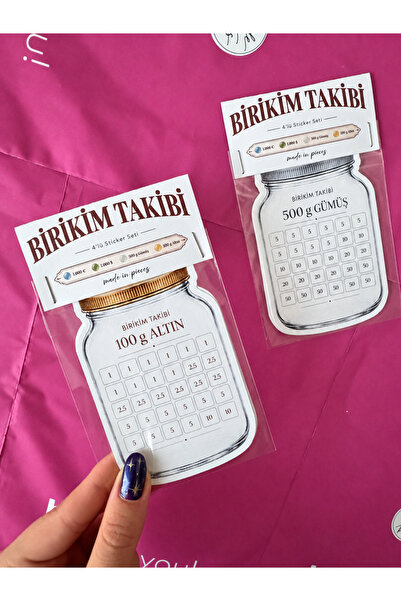 Birikim Takibi Sticker Seti – Euro Dolar Altın Gümüş 4’lü Ajanda ve Bütçe Takip Stickerı