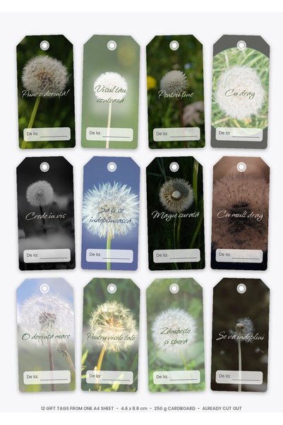 OEM Etichete Cadou Set Pune o dorinta, 12 Bucati, Carton 250g, A4 Decupate