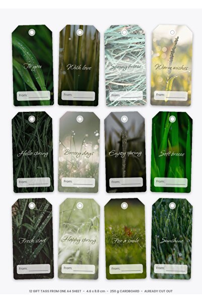 OEM Set of 12 spring breeze gift tags, 250g cardboard, pre-cut, 4.6 x 8.8 cm
