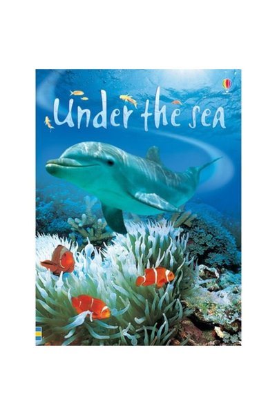 Usborne Publishing Under The sea  ,   Fiona Patchett