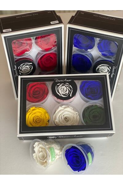 Rose Amor Şoklanmış 6'lı Karışık Xl Şoklanmış Solmayan Gül