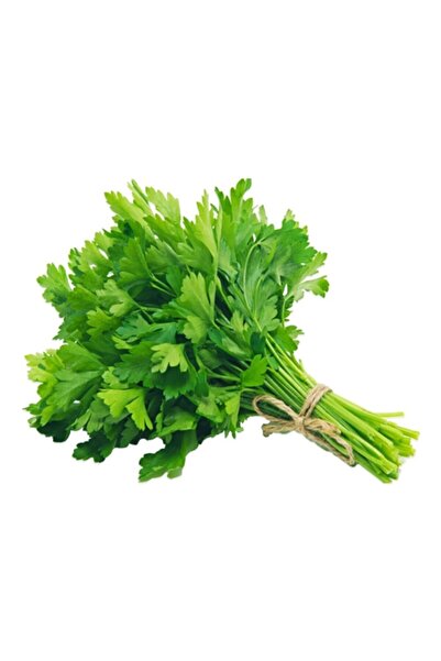 Sebze Meyve Dünyası Maydanoz Demet