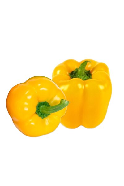 Sebze Meyve Dünyası Kaliforniya Biber kg