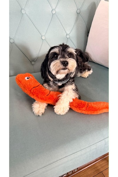 Havhav Vikvikli Turuncu Peluş Solucan 42 cm At-Getir Ve Çekiştirme Köpek Oyuncağı