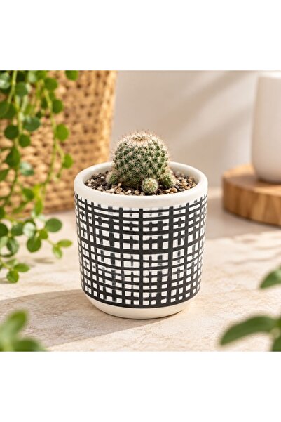 BM GİFT DESİGN Ghiveci ceramică 9x9 cm model linii perpendiculare