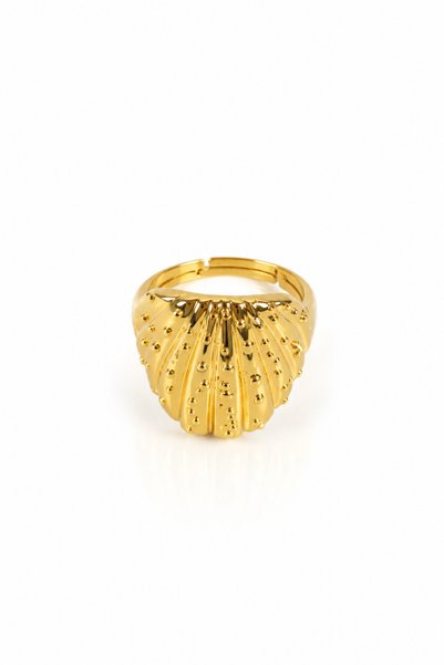 stravis Steel Gold Textured Ring