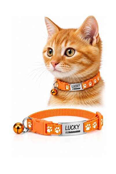 dekoliva Sallanmayan Kedi Tasması Metal Isimlikli Telefon Numarası Yazılı