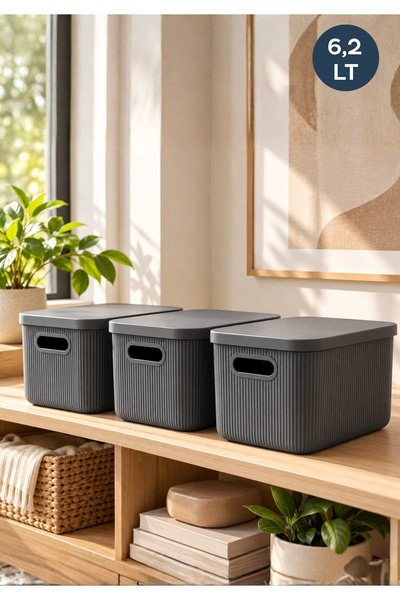 HOMİNG 3 Adet Organizer Düzenleyici Antrasit Kapaklı Kutu 6.2lt