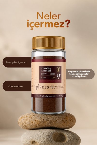 Plantwise Chicory Coffee Prebiotic-High Fiber 80% Chicory 20% Coffee 100g Glass Jar