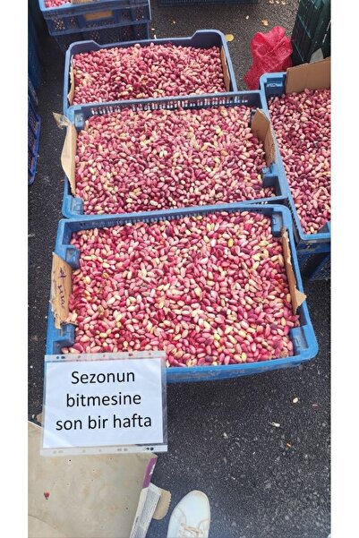 DMR KURUYEMİŞ Antep fıstığı taze Yaş 2 kg
