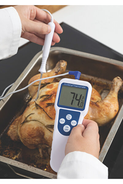 Electronic Temperature Instruments (ETI) EcoTemp | Kablo Problu Gıda Termometresi