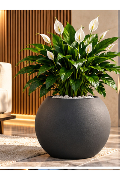 ZEVLİ 30 cm antrasit modern salon saksısı