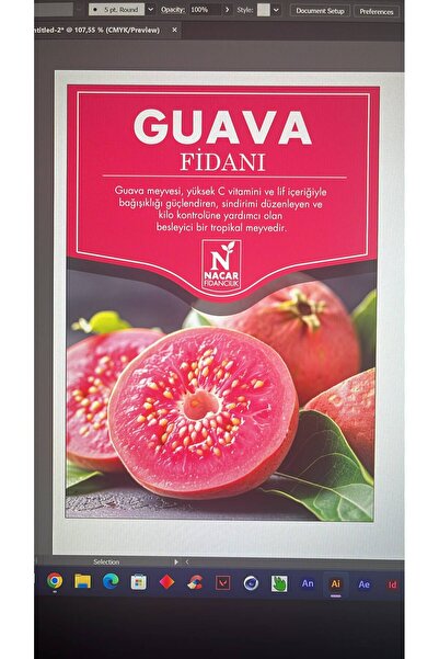 Guava fidanı