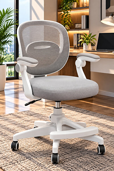 Taimi Adjustable Kids Study Chair with Footrest, Armrests, Mesh Back & Wheels...