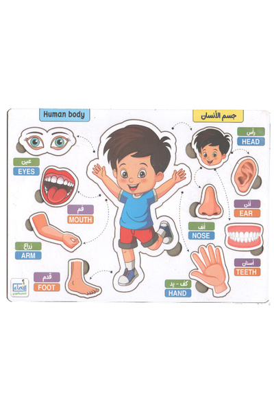 Educational Wooden Educational Toys Wooden Puzzle Human Body 10 Pieces