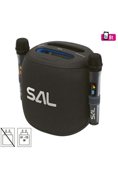 Sal Boxă portabilă tip boombox, 2 microfoane, Bluetooth, USB, slot card, rezi...
