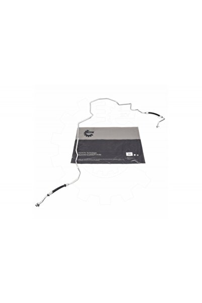 ESEN SKV Conductă aer condiționat Renault Espace IV 8200680870